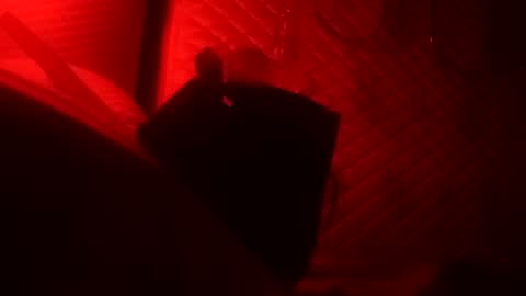 Dick online show from 10/22/25, 08:36