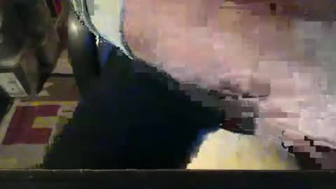 CIPPALIPPA online show from 11/17/25, 05:08