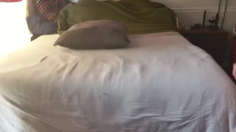 Snapshot of staloney21 chatting on 02/10/26, 03:49 staloney online show from 02/10/26, 03:49