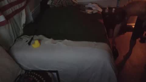 Snapshot of staloney21 chatting on 02/15/26, 09:52 staloney online show from 02/15/26, 09:52