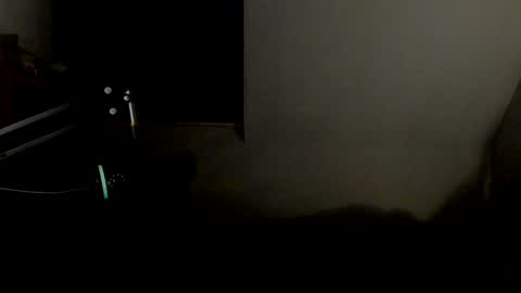 Snapshot of starlight1987 chatting on 01/11/25, 05:52 Adam online show from 01/11/25, 05:52