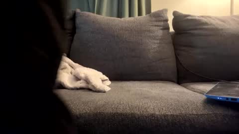 Snapshot of starr3095 chatting on 09/17/25, 01:46 starr3095 online show from 09/17/25, 01:46