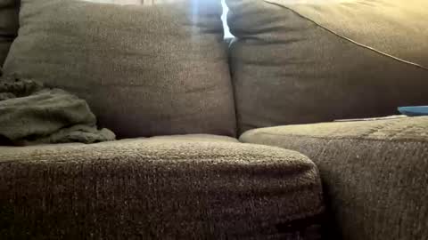 Snapshot of starr3095 chatting on 12/03/25, 03:10 starr3095 online show from 12/03/25, 03:10