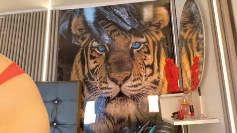 startevans online show from 03/14/26, 04:18