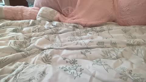 Snapshot of stassiethatsororitygirl chatting on 02/22/25, 08:53 Stassiethatsororitygirl online show from 02/22/25, 08:53