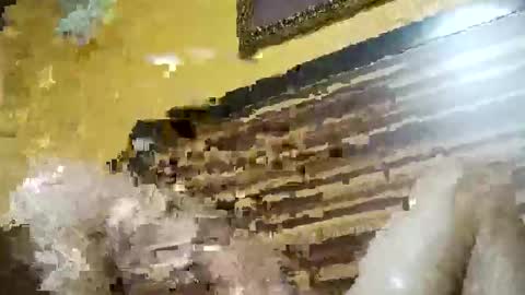 Snapshot of stchelly627 chatting on 03/08/26, 06:28 stchelly627 online show from 03/08/26, 06:28