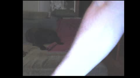 stefangeil123 online show from 03/21/26, 12:59