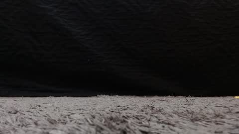 Stefany Brown online show from 03/21/26, 11:26