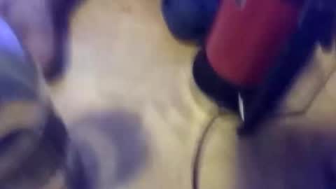 Snapshot of steinarskogmoen chatting on 10/19/25, 01:28 anube krato online show from 10/19/25, 01:28