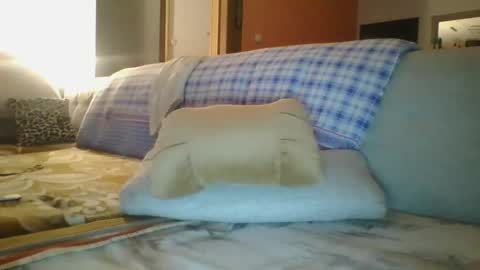 steki038434 online show from 01/12/25, 02:03