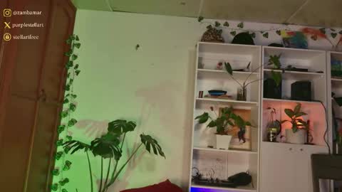 stellart_ online show from 12/03/25, 01:57