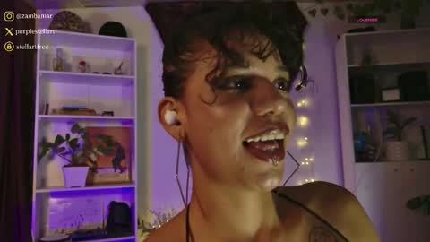 stellart_ online show from 02/05/26, 12:15