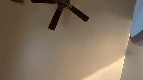 Snapshot of sterng123 chatting on 10/20/25, 03:51 sterng123 online show from 10/20/25, 03:51