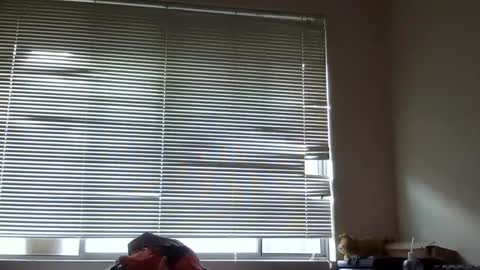 Snapshot of steveaussie chatting on 12/08/24, 09:41 Australian420 online show from 12/08/24, 09:41