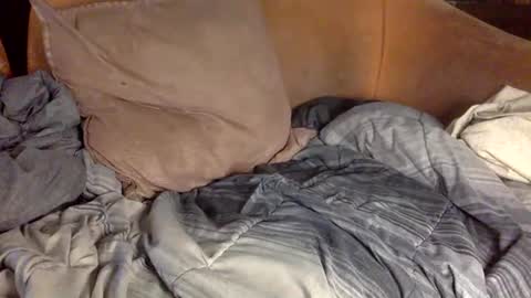 STEVE CASHMASTER 1comedia online show from 02/20/25, 04:14