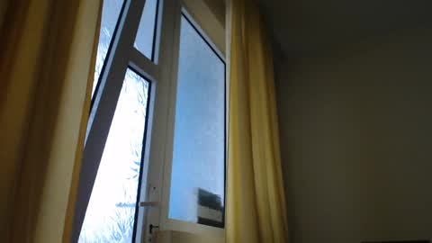 Snapshot of stevenbradley2017 chatting on 12/30/24, 01:47 Steven online show from 12/30/24, 01:47