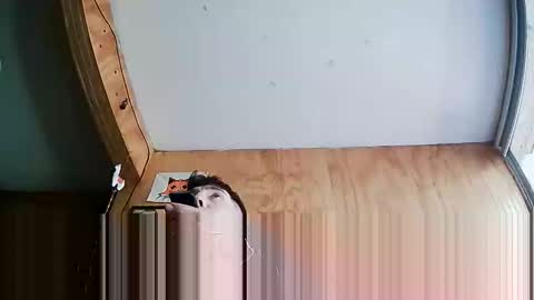 Steve online show from 10/04/25, 07:23