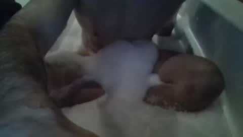 Tiny D online show from 11/15/25, 12:52