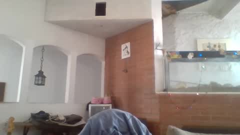 Snapshot of stevenson988 chatting on 12/26/24, 06:12 stevenson988 online show from 12/26/24, 06:12