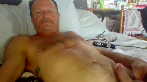 Snapshot of steviehard7 chatting on 10/08/25, 05:32 steviehard7 online show from 10/08/25, 05:32