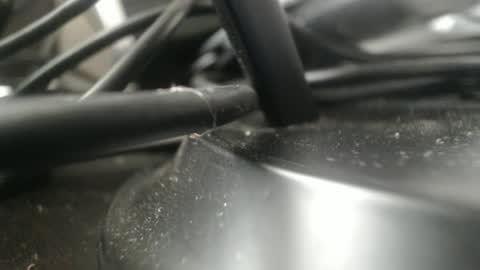 Snapshot of stewpididiot chatting on 09/11/25, 04:51 Stew Pididiot online show from 09/11/25, 04:51