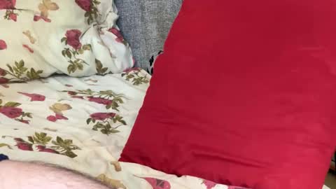 Chris online show from 10/21/25, 11:22