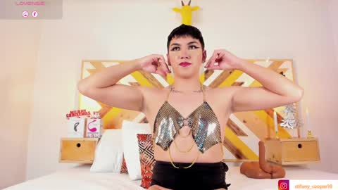 Snapshot of stifany_cooper chatting on 12/12/24, 02:04 stifany cooper online show from 12/12/24, 02:04