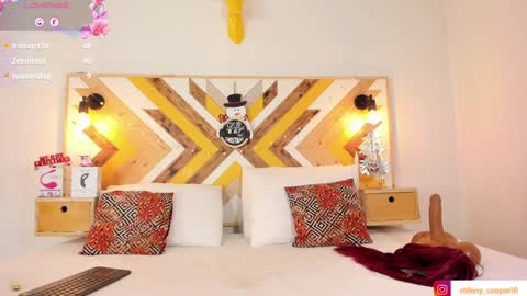 Snapshot of stifany_cooper chatting on 12/13/24, 11:17 stifany cooper online show from 12/13/24, 11:17