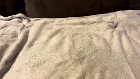 stiffrick682 online show from 01/07/25, 12:03