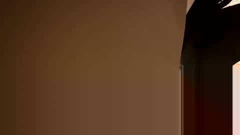 Snapshot of stokely571996 chatting on 12/05/24, 08:55 Oval2022 online show from 12/05/24, 08:55