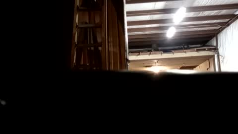 Snapshot of stokely571996 chatting on 12/16/24, 12:48 Oval2022 online show from 12/16/24, 12:48