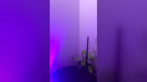 straight_boys_hornys online show from 12/20/25, 11:50