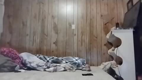 straighttoy online show from 03/03/25, 05:09