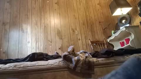 straighttoy online show from 11/03/25, 03:24