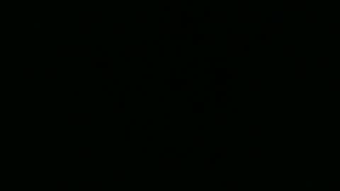 strangerdanger_2 online show from 04/10/26, 11:37