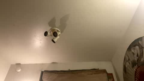 Snapshot of strangestag chatting on 09/27/25, 07:46 Stag online show from 09/27/25, 07:46