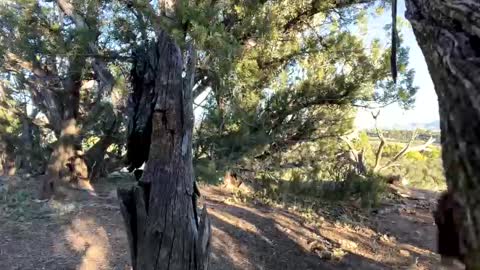 Snapshot of strangestag chatting on 10/06/25, 11:46 Stag online show from 10/06/25, 11:46