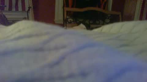 Snapshot of stratocatster chatting on 01/24/25, 02:39 stratocatster online show from 01/24/25, 02:39