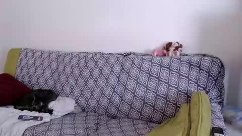 Strawberrylotsacake online show from 03/26/26, 01:49