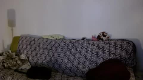 Strawberrylotsacake online show from 04/06/26, 11:22