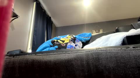 Snapshot of stroking33again chatting on 01/01/25, 07:10 stroking33again online show from 01/01/25, 07:10