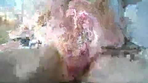 stthomasyr online show from 05/13/26, 01:36