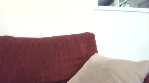 stud4cougar online show from 12/08/24, 07:54