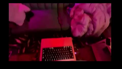 studio4three online show from 02/26/25, 11:20