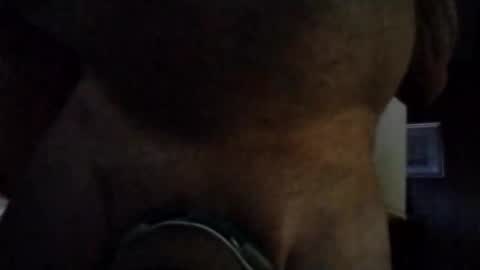 Snapshot of stuffamuffagus69 chatting on 11/16/25, 01:00 stuffamuffagus69 online show from 11/16/25, 01:00