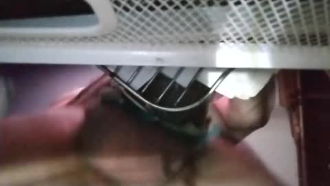 Snapshot of stuffamuffagus69 chatting on 11/18/25, 01:11 stuffamuffagus69 online show from 11/18/25, 01:11