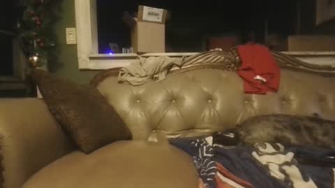 sub_michael41 online show from 12/21/24, 06:52