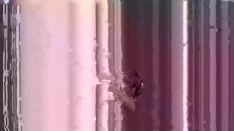 ControlMeViaTeamviewer online show from 12/03/24, 10:28