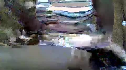 Snapshot of submissive_slut001 chatting on 01/12/25, 11:50 submissive_slut001 online show from 01/12/25, 11:50