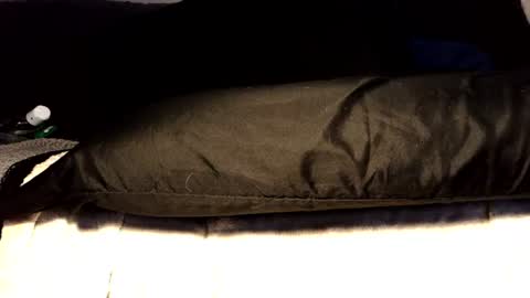 Snapshot of submissiveforu chatting on 06/17/26, 03:35 between my legs online show from 06/17/26, 03:35